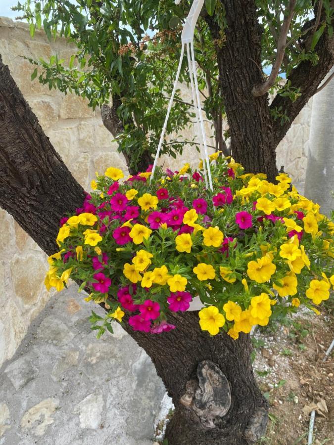 Iris Holiday Home Trbounje Εξωτερικό φωτογραφία